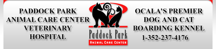 Ocala veterinary animal hospital, emergency pet care Ocala Fl, Ocala animal hospitals, Ocala vet hospital